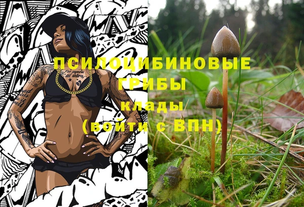 a pvp Белокуриха