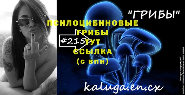 Альфа ПВП Богданович